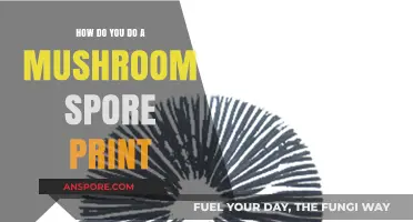Creating Mushroom Spore Prints: An Easy Guide