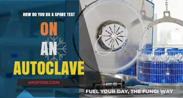 Mastering Autoclave Sterilization: A Step-by-Step Guide to Spore Testing