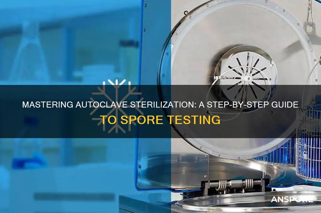 how do you do a spore test on an autoclave