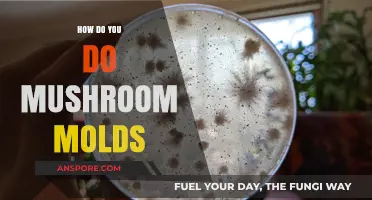 Growing Mushrooms: Mastering the Art of Mushroom Molds