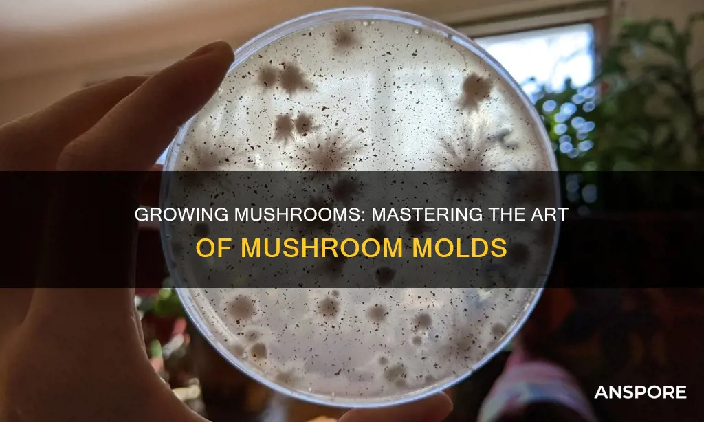 how do you do mushroom molds