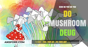 Exploring the Psychedelic World of Magic Mushrooms