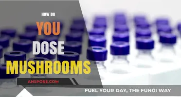 Mushroom Microdosing: A Beginner's Guide to Safe Consumption