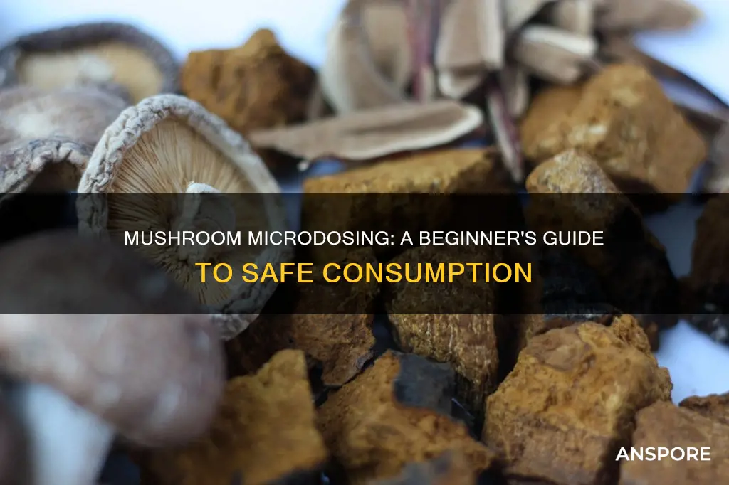 how do you dose mushrooms