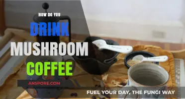 A Morning Brew: Mushroom Coffee Kickstart