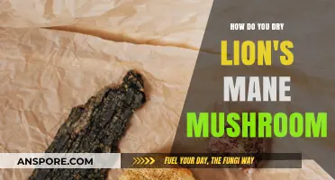 Drying Lion's Mane Mushrooms: Best Techniques and Practices