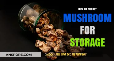 Drying Mushrooms: Storage and Preservation Techniques