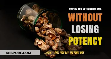 Drying Mushrooms: Retaining Potency for Maximum Benefits