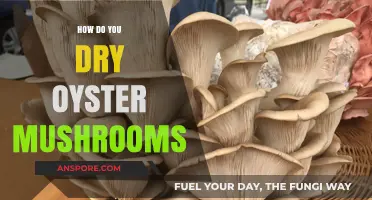 Drying Oyster Mushrooms: A Step-by-Step Guide