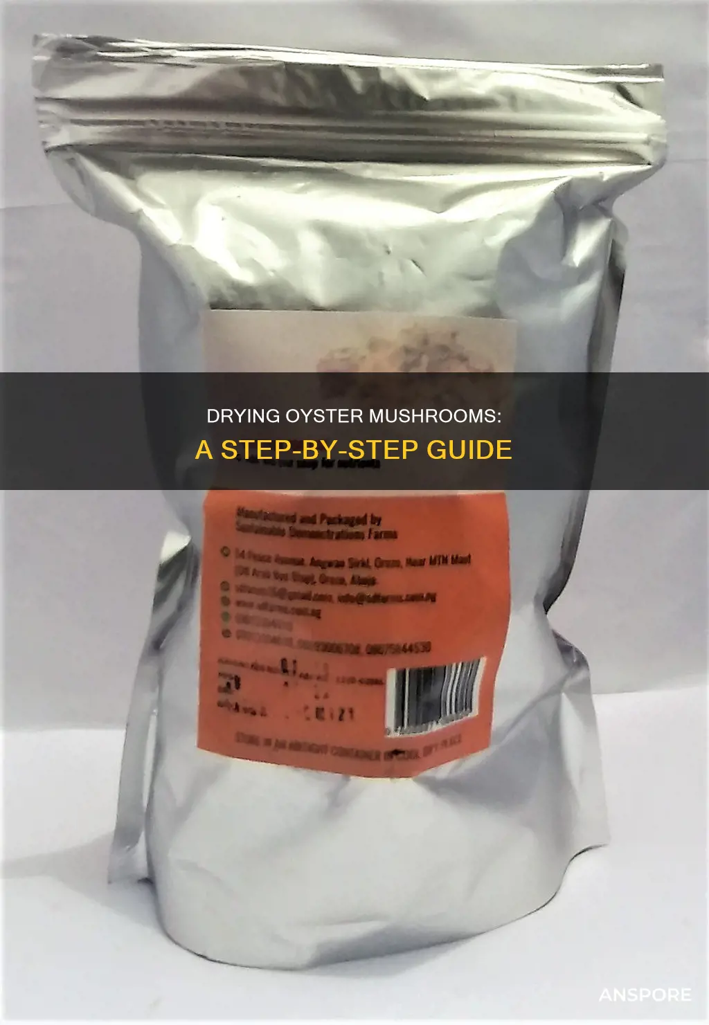 how do you dry oyster mushrooms