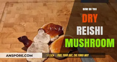 Drying Reishi Mushrooms: Techniques and Best Practices