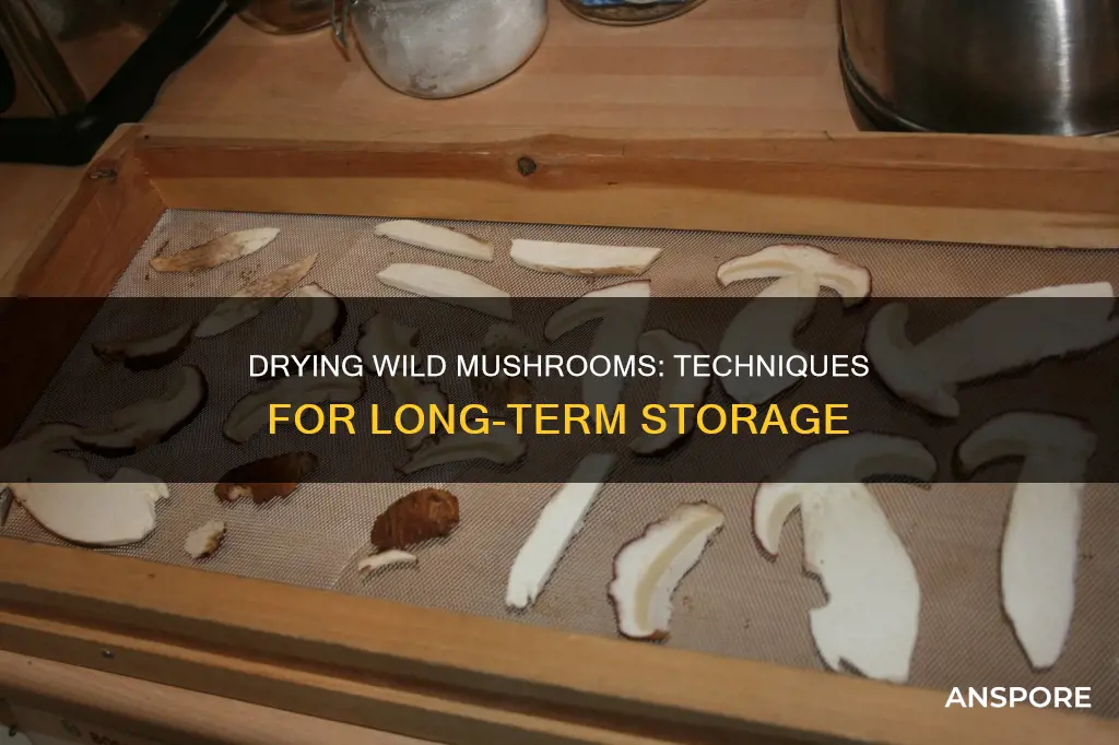 how do you dry wild mushrooms