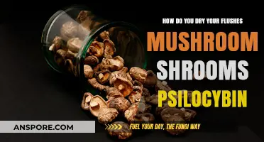 Drying Shrooms: Best Techniques for Preserving Psilocybin Mushrooms