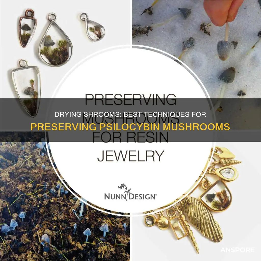 how do you dry your flushes mushrooms shrooms psilocybin