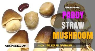 Delicious Ways to Enjoy Paddy Straw Mushrooms in Your Meals