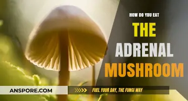 Eating Adrenal Mushrooms: A Guide to Preparation and Consumption