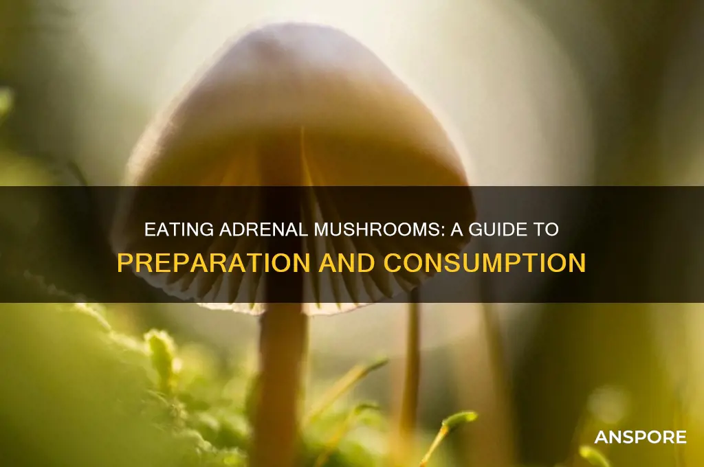how do you eat the adrenal mushroom