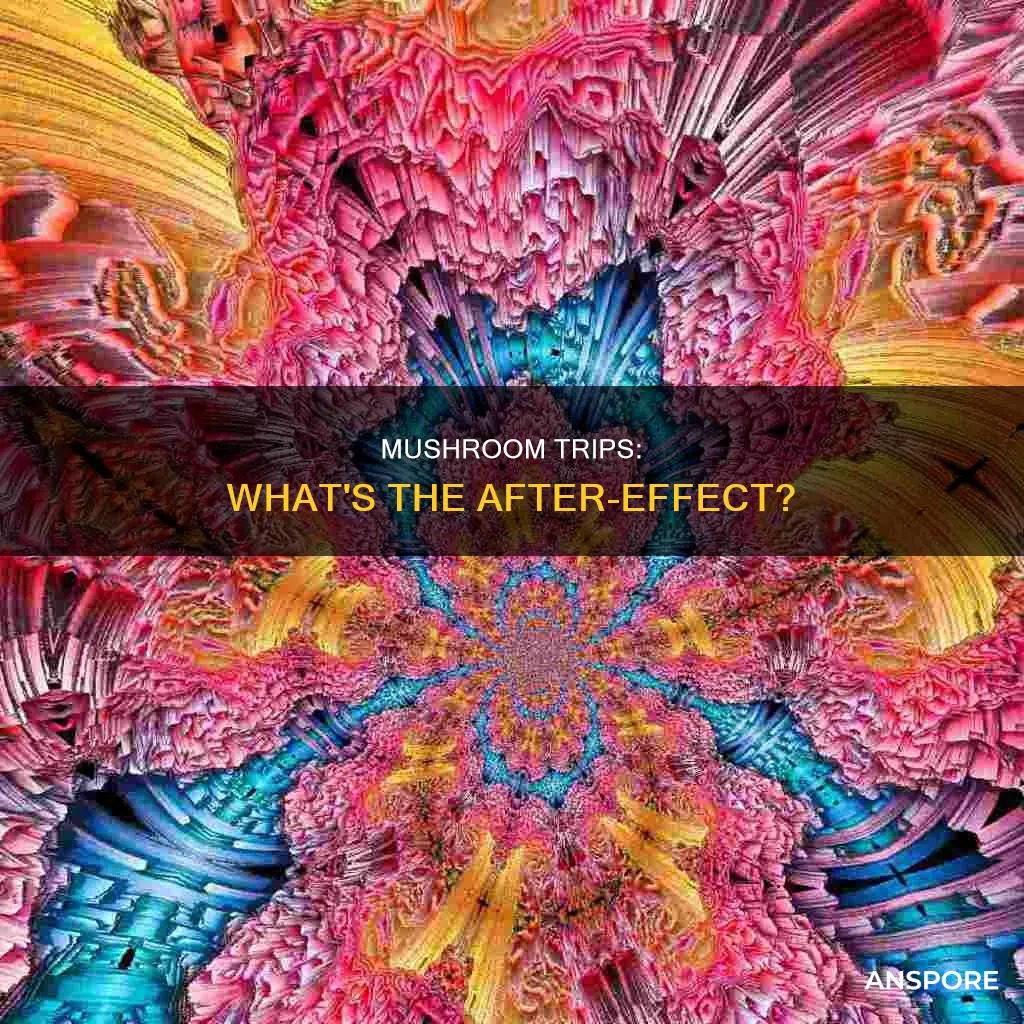 how do you feel after a mushroom trip