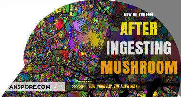 Tripping on Shrooms: A Journey Through the Mind's Eye