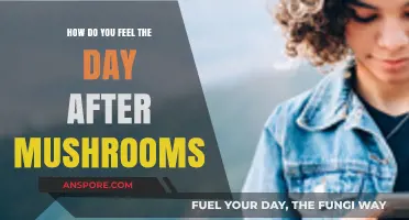 The Day After: Mushrooms and Their Lingering Effects