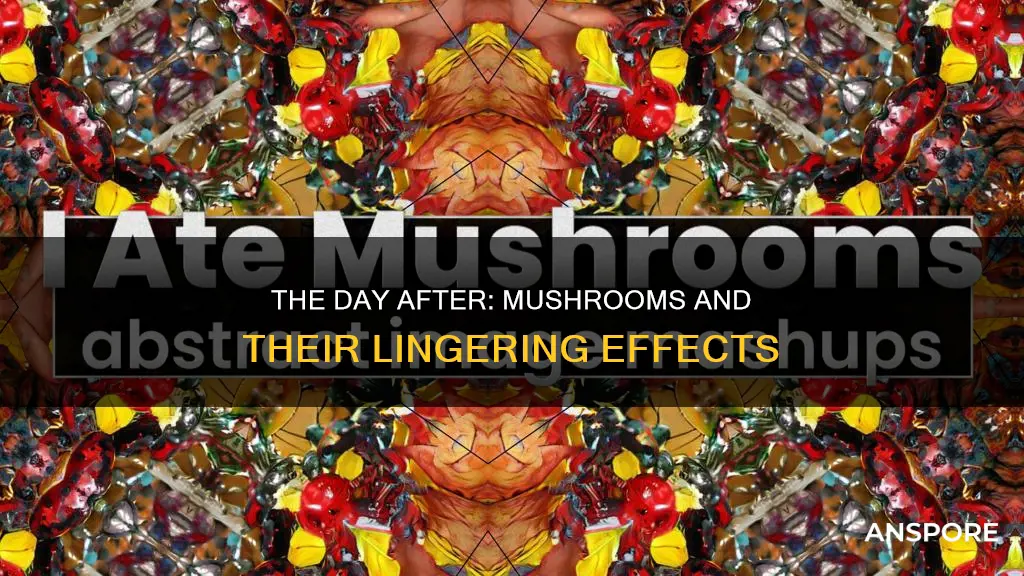how do you feel the day after mushrooms