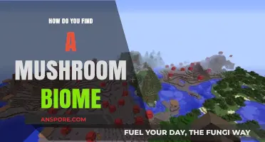 Discovering Mushroom Biomes: A Guide to Locating Fungal Forests
