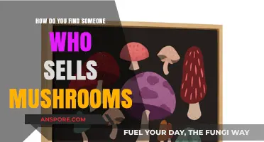 Where to Find Mushroom Sellers: A Comprehensive Guide for Buyers