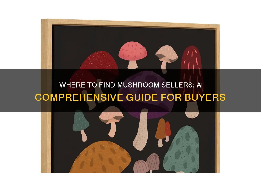how do you find someone who sells mushrooms