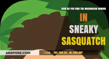 Locate the Mushroom Hunter in Sneaky Sasquatch: A Guide