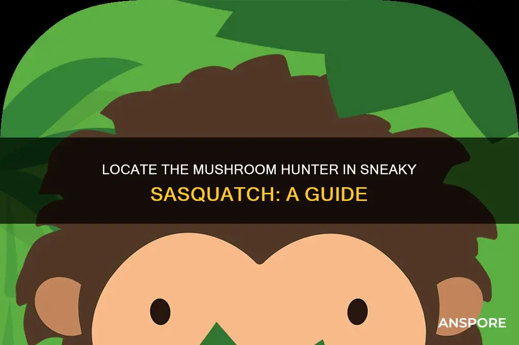 how do you find the mushroom hunter in sneaky sasquatch