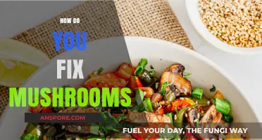 The Ultimate Guide to Cooking Mushrooms