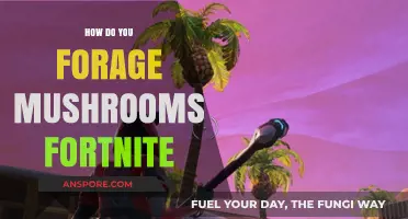 Foraging Mushrooms in Fortnite: A Beginner's Guide