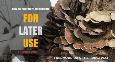 Easy Guide to Freezing Mushrooms for Freshness and Convenience