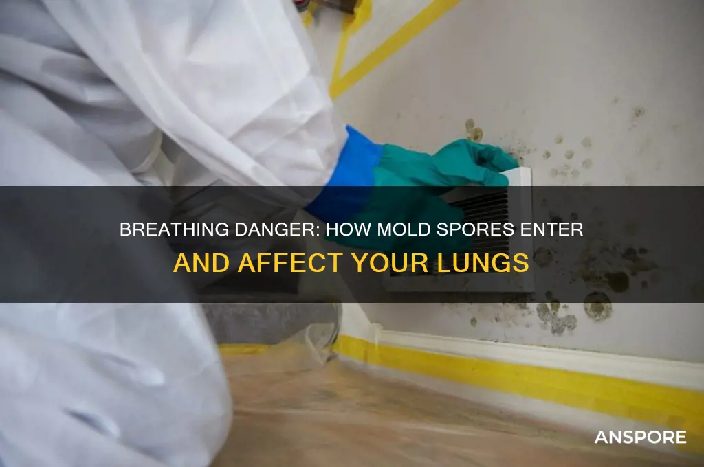 how do you get mold spores in your lungs