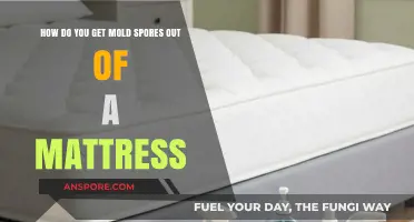 Effective Ways to Remove Mold Spores from Your Mattress Safely