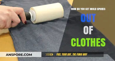 Effective Ways to Remove Mold Spores from Your Clothes Safely