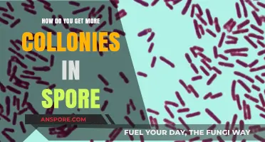 Expand Your Spore Civilization: Strategies to Grow More Colonies Fast