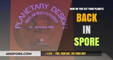 Reclaiming Your Planets in Spore: A Step-by-Step Revival Guide