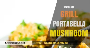 Grilled Portabella Mushrooms: A Tasty Summer Treat