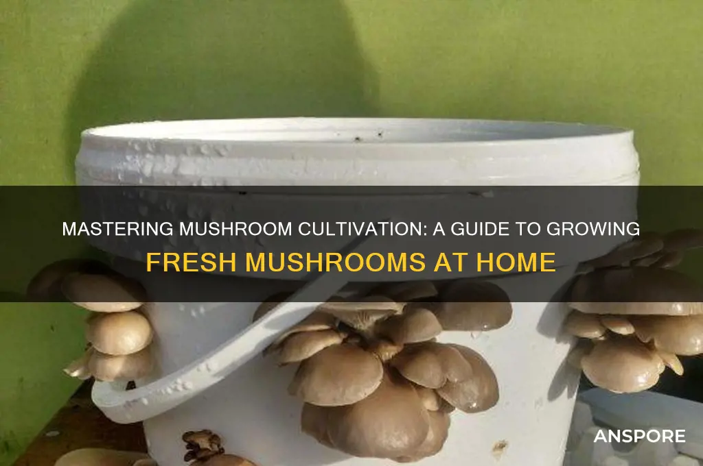 how do you grow fresh mushrooms