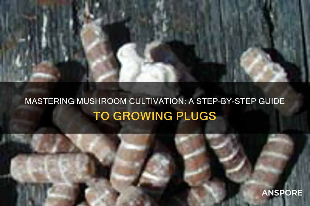 how do you grow mushroom plugs