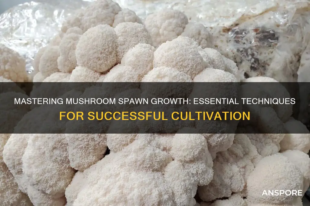 how do you grow mushroom spawn