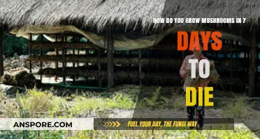 Rapid Mushroom Farming in 7 Days to Die: A Survival Guide