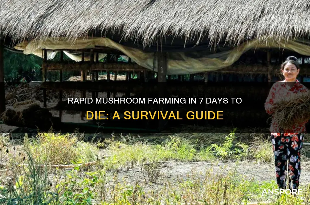 how do you grow mushrooms in 7 days to die