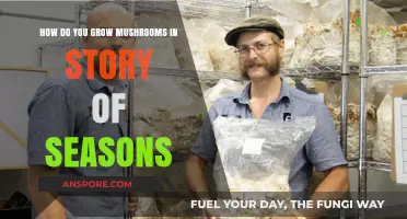 Mastering Mushroom Cultivation in Story of Seasons: A Step-by-Step Guide