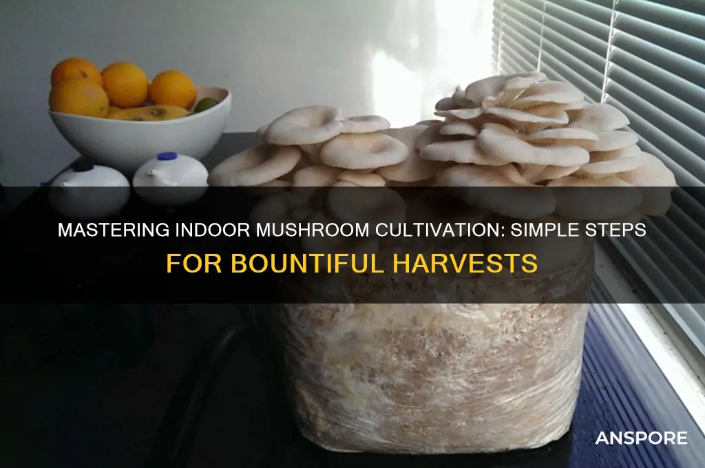 how do you grow mushrooms indoors
