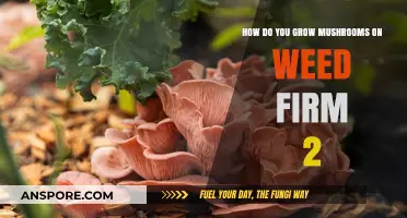 Growing Mushrooms on Weed Firm 2: A Step-by-Step Guide