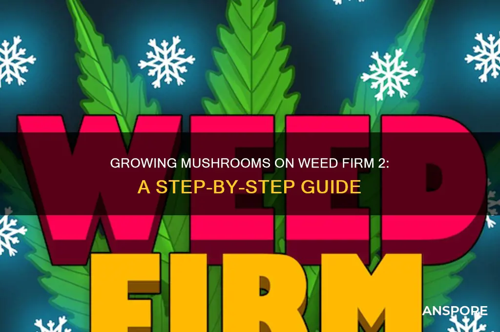 how do you grow mushrooms on weed firm 2