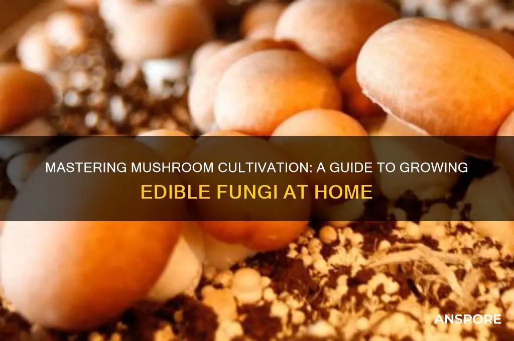 how do you grow mushrooms to eat
