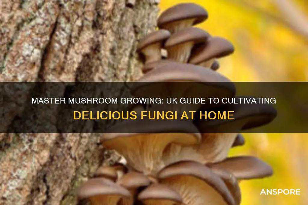how do you grow mushrooms uk
